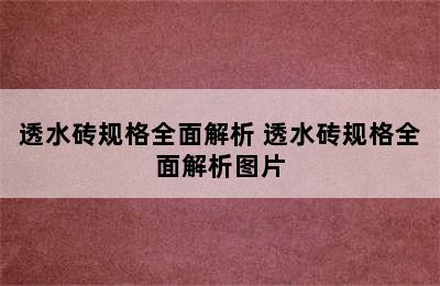 透水砖规格全面解析 透水砖规格全面解析图片